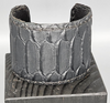 Snake in the Grass - Snake Embossed Cuff