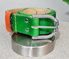 Snake in the Grass - Belt
